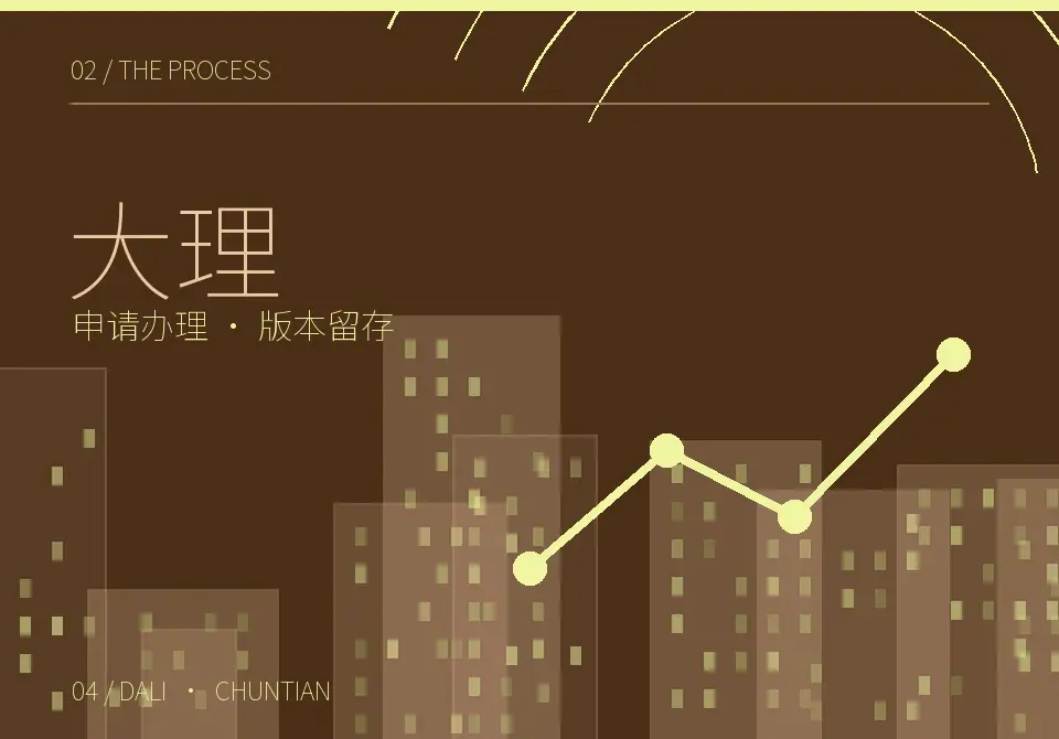 大理申请流程与反馈留存图形